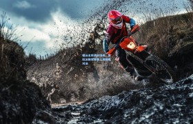 蝶泳名将再创佳绩,国际泳联世锦赛上演巅峰对决